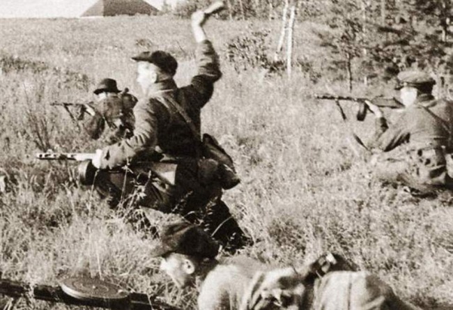 900 дней в тылу врага. Военная история, книги, скачать бесплатно fb.2
