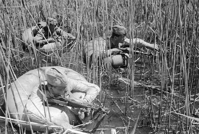 Военная история, книги, скачать бесплатно. Судьба разведчика - Владимир Карпов