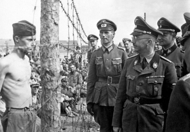 История великой отечественной войны, скачать бесплатно, без регистрации