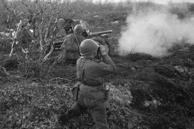 Военная история, книги, скачать бесплатно. От Заполярья до Венгрии - Петр Боград