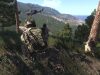 Arma 3,   PC  Internetwars.ru