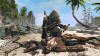 Assassins Creed 4 Black Flag,   Internetwars.ru