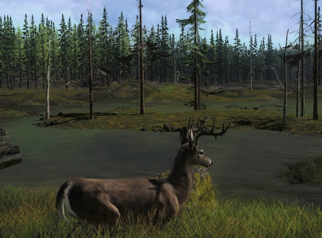 Youtube Deer Hunting Games