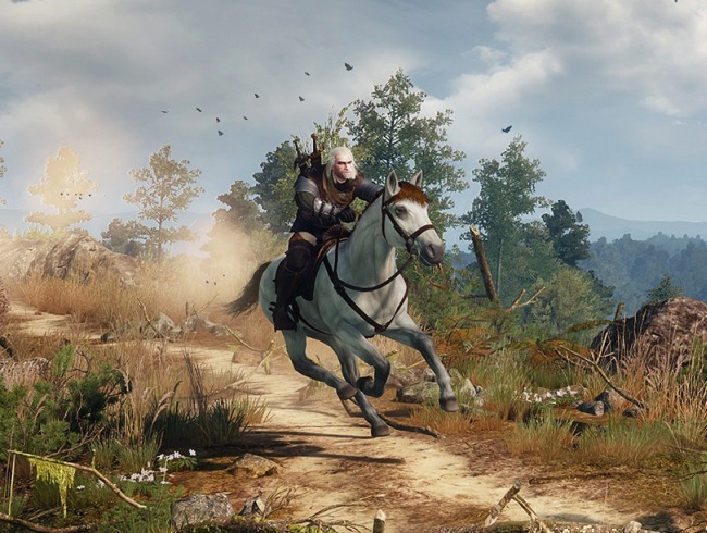   The Witcher 3: Wild Hunt