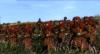 Elder Scrolls -   Medieval-2:Total War  internetwars.ru