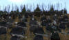    Medieval-2:Total War internetwars.ru