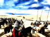 Все моды для Medieval-2:Total War internetwars.ru