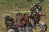    Mount and Blade (Mount and Blade)  internetwars.ru