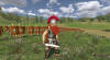 Imperium Romanum -   Warband (Mount & Blade)  Internetwars.ru