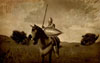 -13 -   Mount+Blade  internetwars.ru