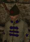 ��� ���� ���  Mount and  Blade �� internetwars.ru