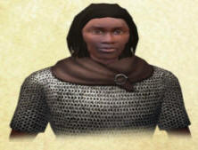 Custom Commander (Everyone can be a leader) -   Mount+Blade  internetwars.ru