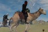 ��� ���� ��� Mount and Blade (Mount & Blade) �� internetwars.ru
