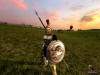    Mount and Blade (Mount & Blade)  internetwars.ru