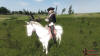 L'Aigle,   Mount&Blade Warband  internetwars.ru