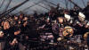 Все моды для Total War Rome 2 на internetwars.ru
