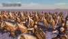 Megas Alexandros  -   Rome:Total War - Alexander internetwars.ru