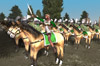 Amazon: Total War.   RTW-BI 1.6.  , , ,    internetwars.ru