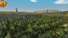 Blue Lotus: Total War  -    RTW- 1.5.  , , ,    internetwars.ru