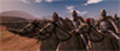 Casus Belli -   Rome: Total War internetwars.ru