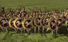    Rome:Total War  internetwars.ru