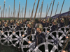 Viking Invasion II .   RTW-BI 1.6.  , , ,    internetwars.ru