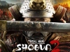 Shogun 2: Realism,    Total War: Shogun 2   Internetwars.ru 