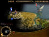 Sid Meier's Civilization IV: Colonization -   PC  internetwars.ru