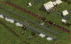 American Conquest: Divided Nation - игра для PC на internetwars.ru