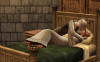 The Sims Medieval -   PC  Internetwars.ru